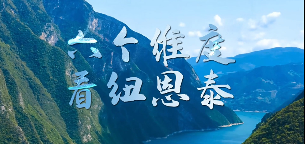 六個(gè)維度看紐恩泰